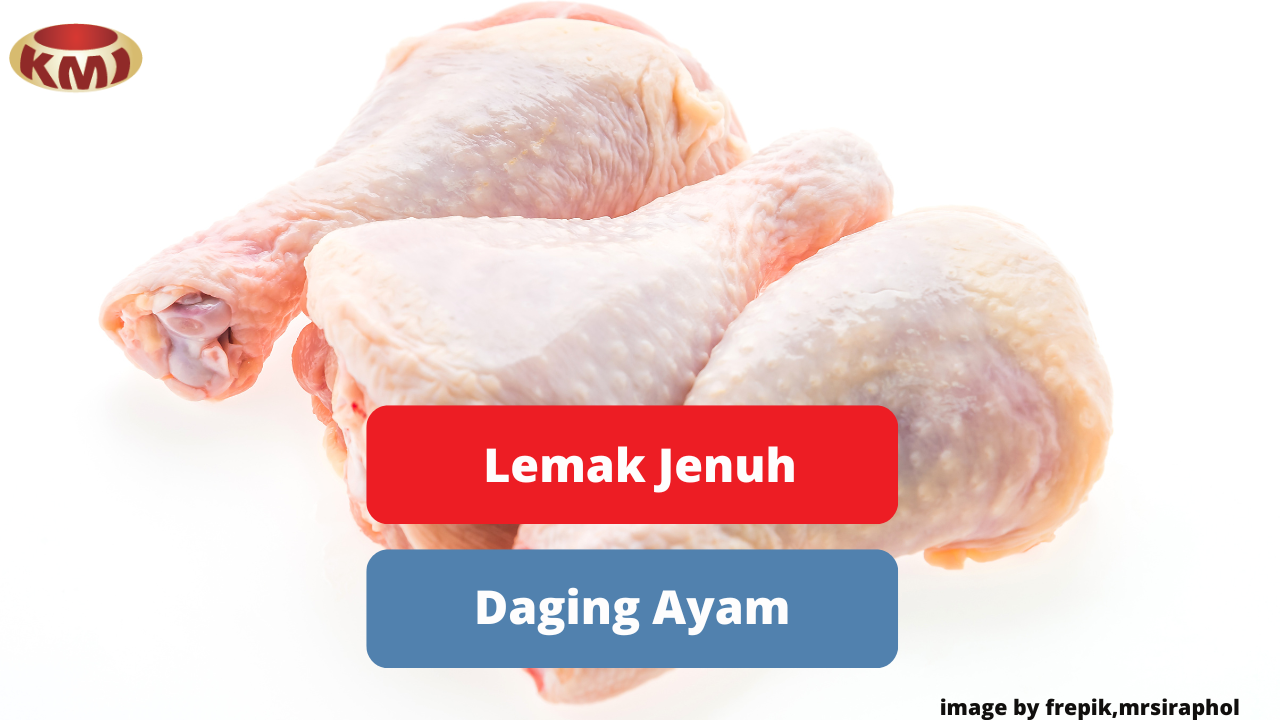 Ketahui Kandungan Lemak Jenuh Pada Daging Ayam